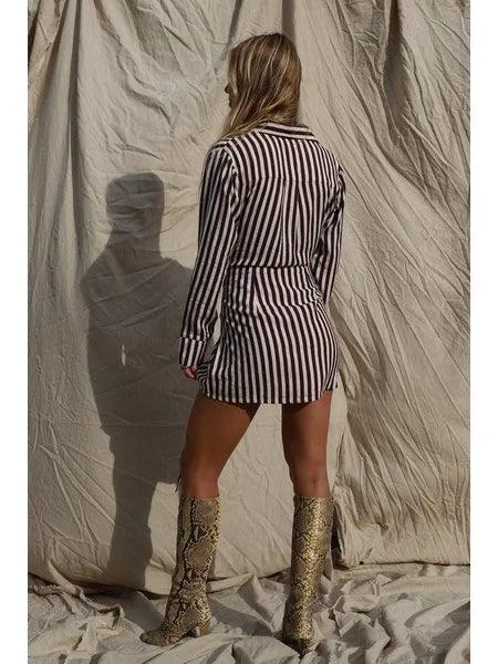 Amata Stripe Shirt Dress