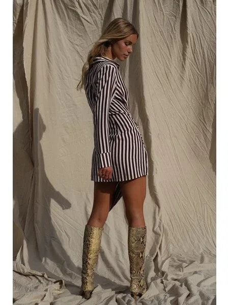 Amata Stripe Shirt Dress